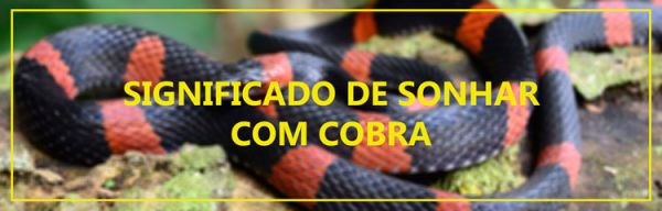 Sonhar com Cobra: 15 Significados em Psicologia - Psicanálise Clínica