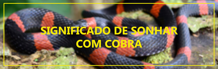 Significado de sonhar com cobra naja. Veja se há o que temer