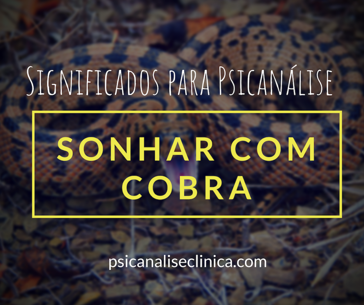 O que significa sonhar com cobra?