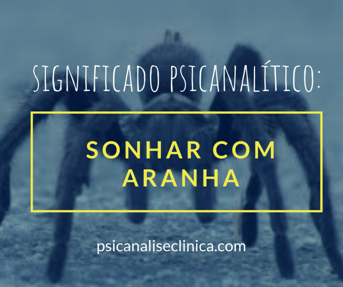 Sonhar com aranha: significado do sonho