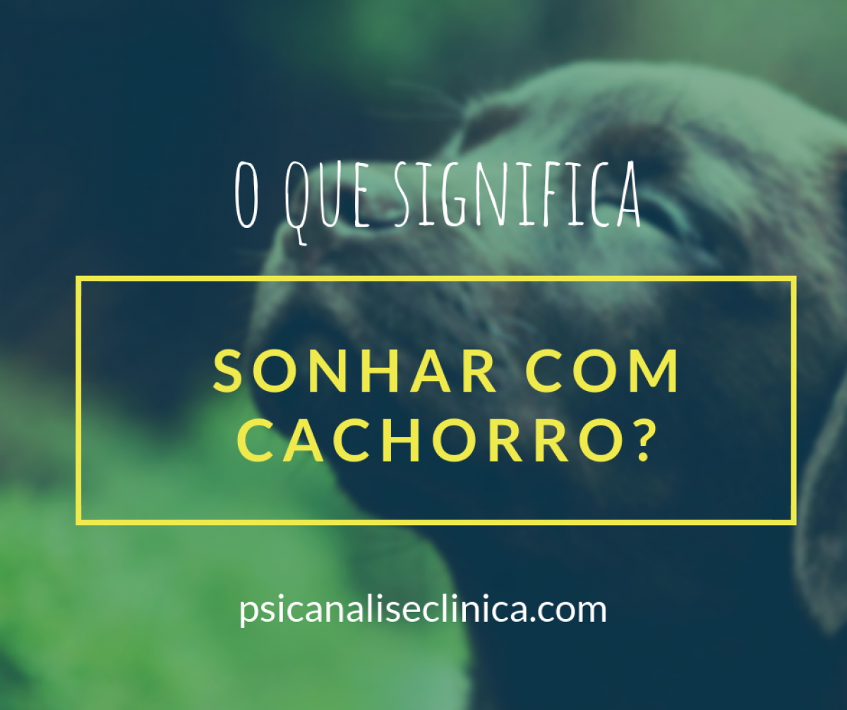 O que quer dizer Sonhar com Cachorro? - Psicanálise Clínica