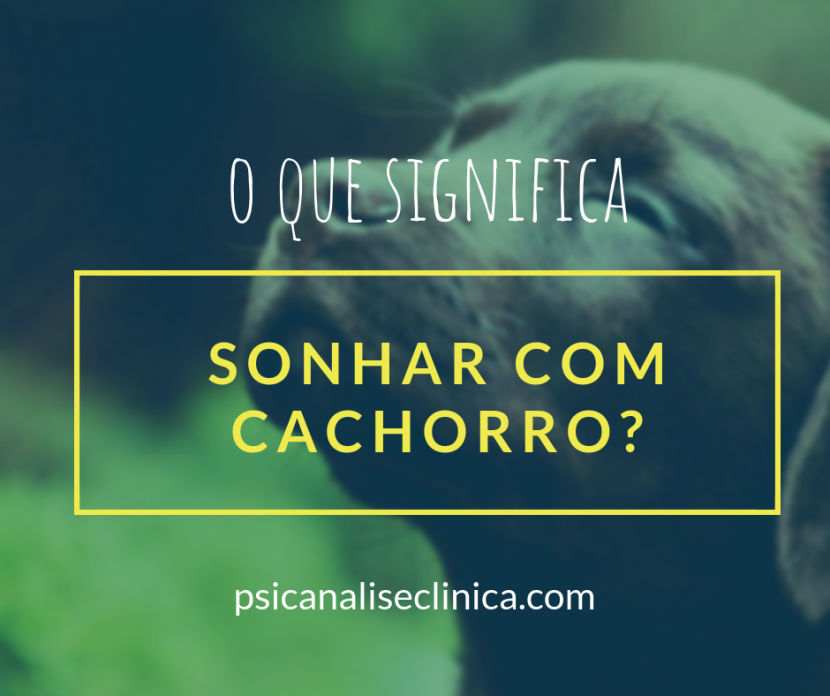 O significado de sonhar com animais