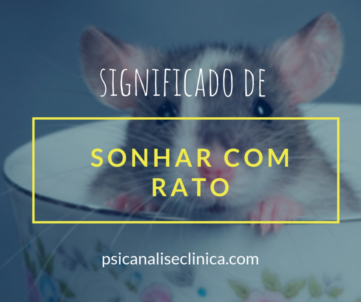 SONHAR COM RATO: qual o significado bíblico desse sonho?