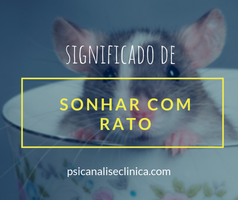 Sonhar com rato: 15 formas de interpretar - Psicanálise Clínica