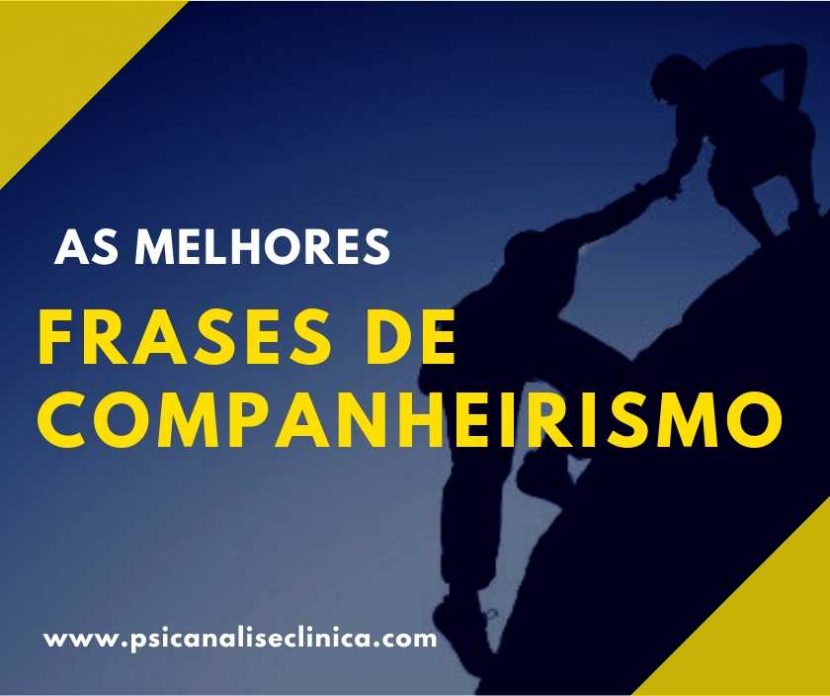 frases de companheirismo