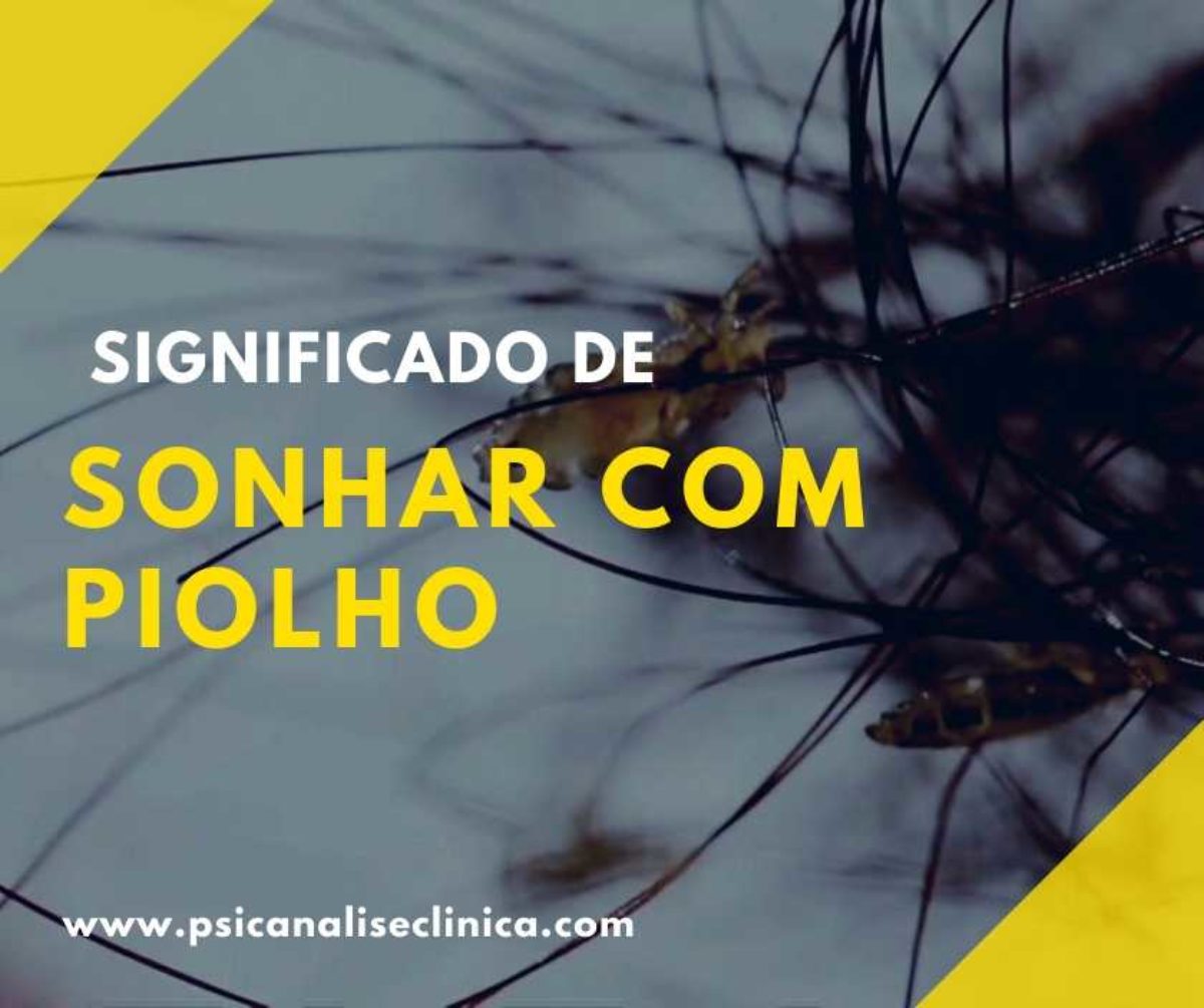 Sonhar com piolho é ruim? Saiba qual o significado evangélico de sonhar com  esse animal