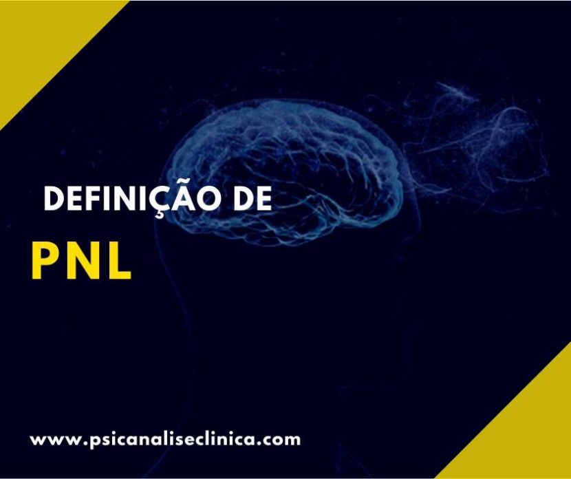 pnl significado