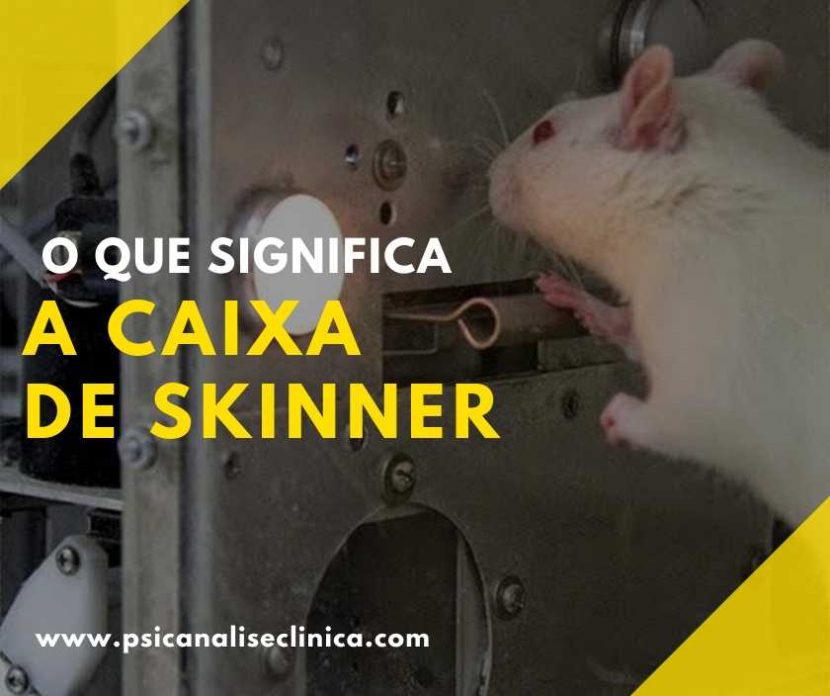 caixa de Skinner