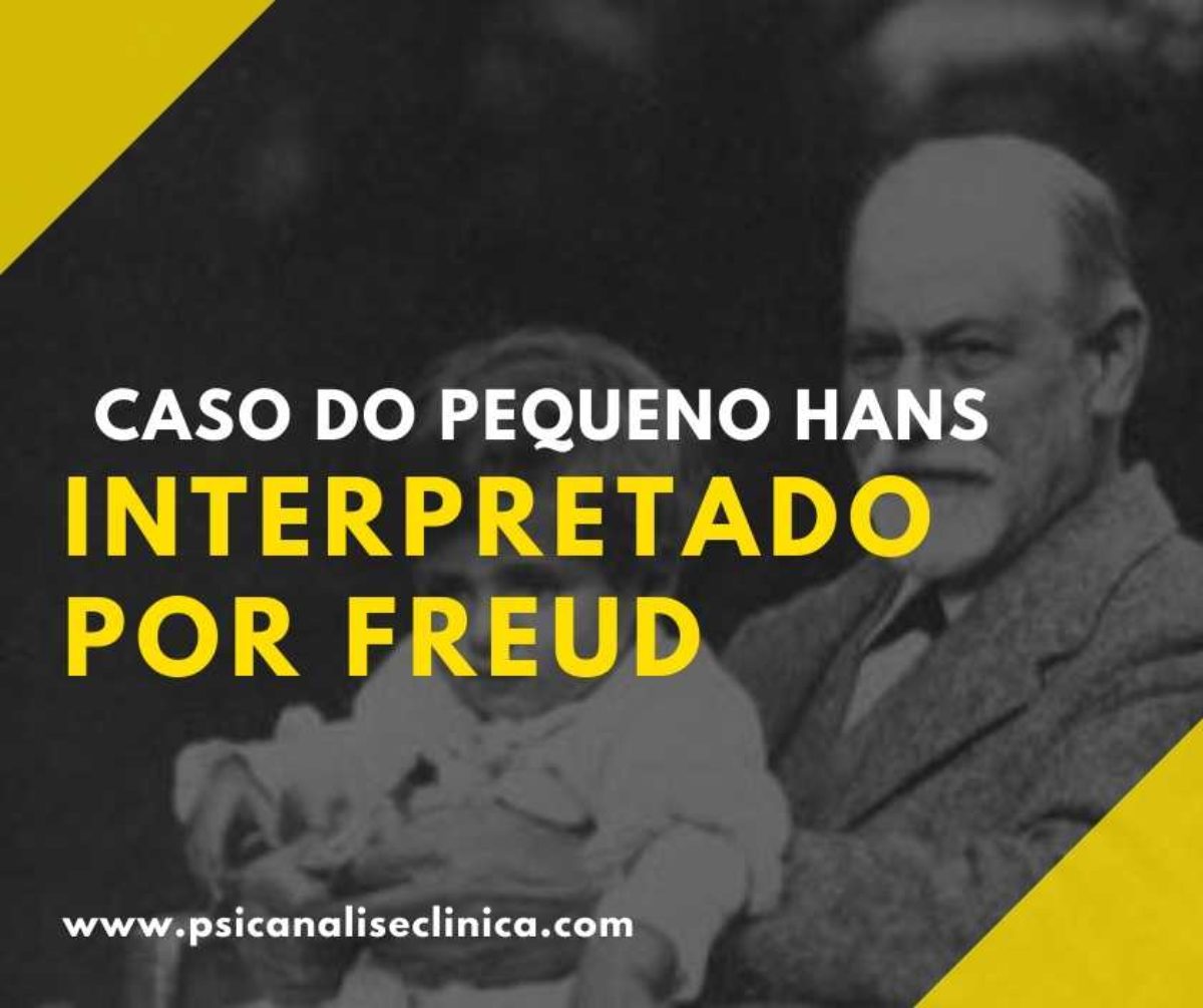 O Mais Rapido Biografia De Sigmund Freud Resumo