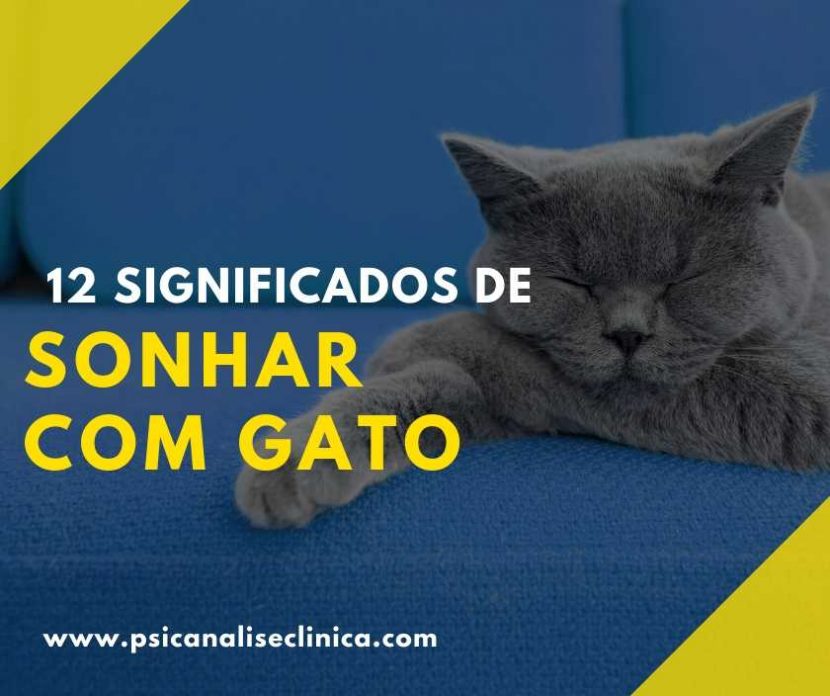 sonhar com gato