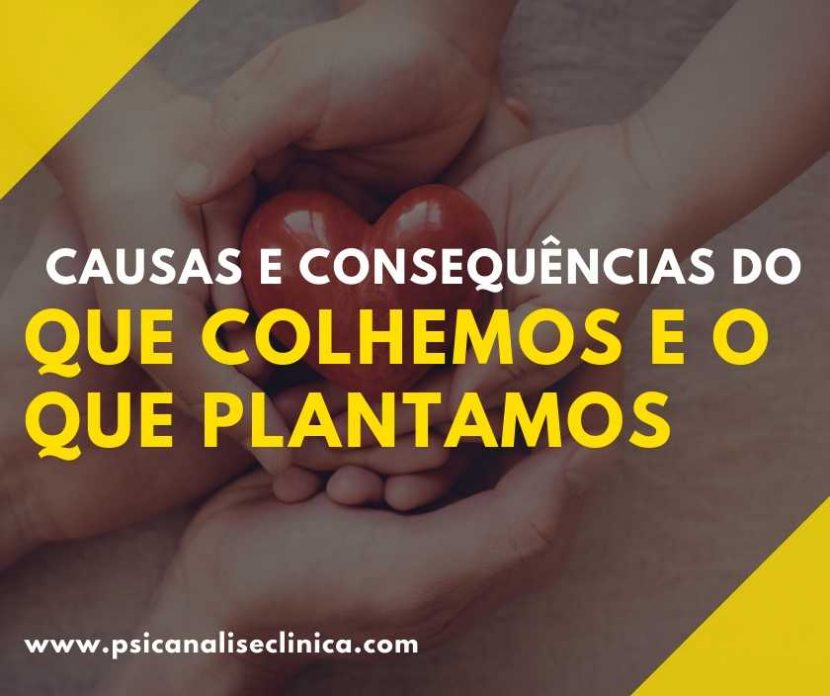 colhemos o que plantamos