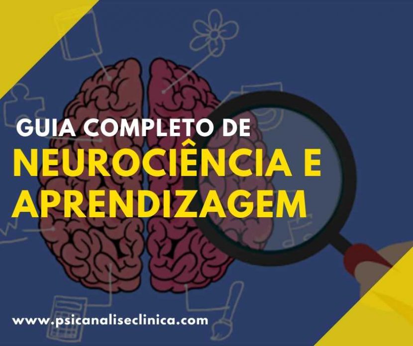 neurociência e aprendizagem