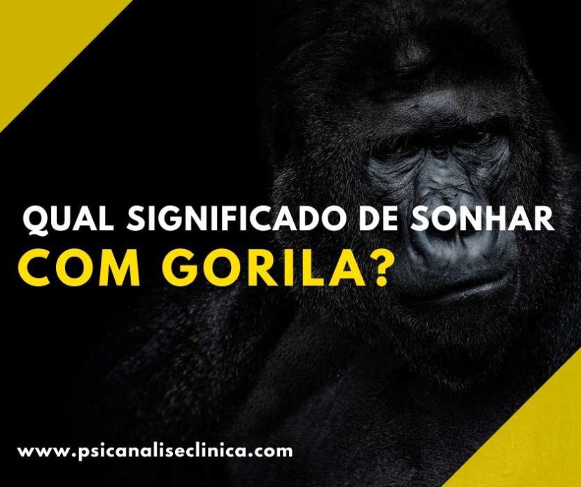 sonhar com gorila