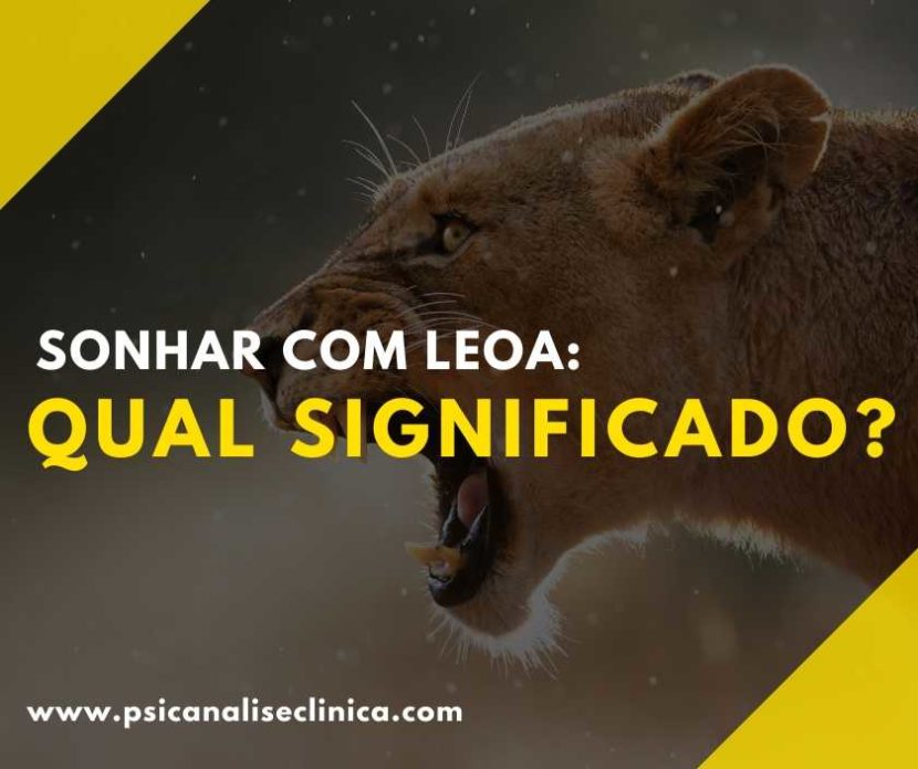 sonhar com leoa