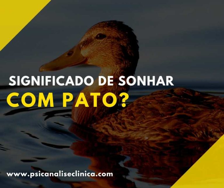 O que quer dizer sonhar com pato? - Psicanálise Clínica