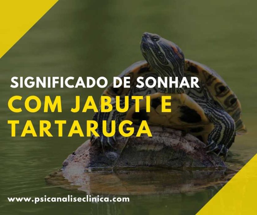 Sonhar com Tartaruga