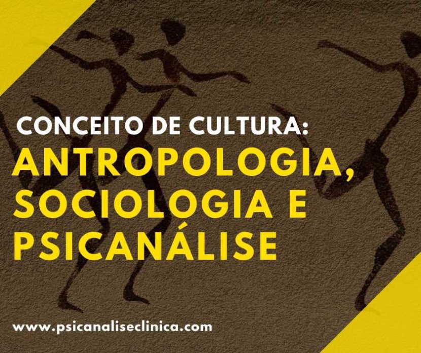 conceito de cultura