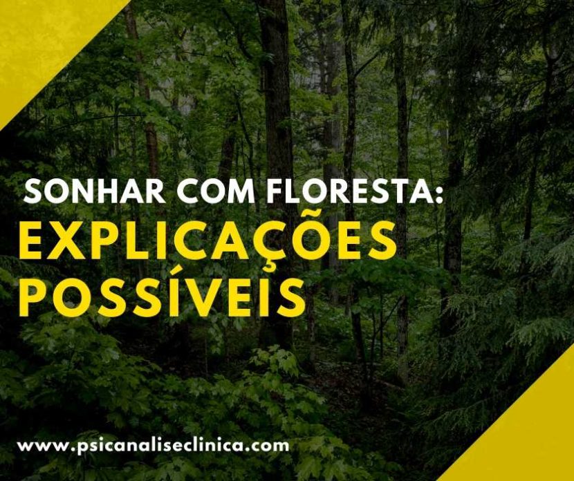 sonhar com floresta