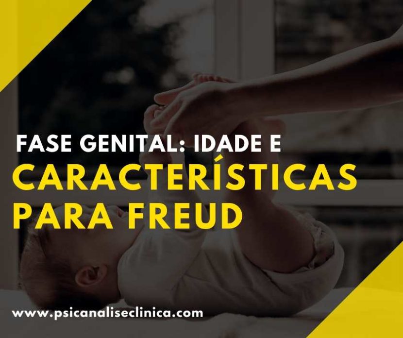 fase genital