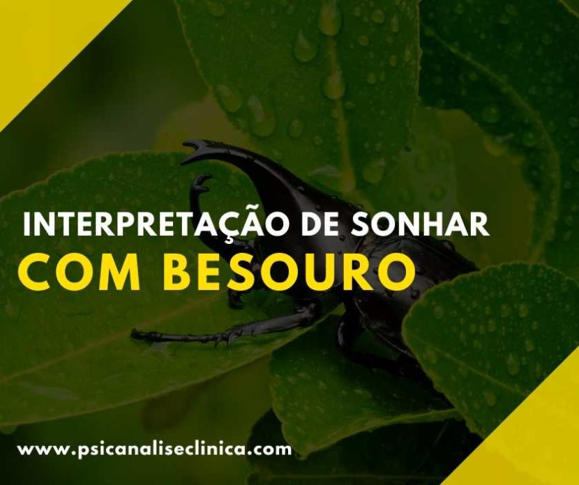 sonhar com besouro