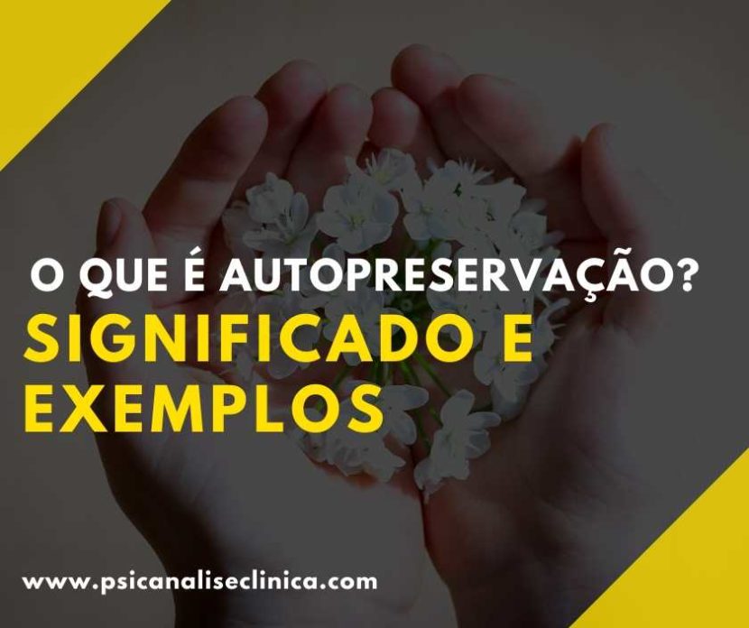 o que é autopreservação?