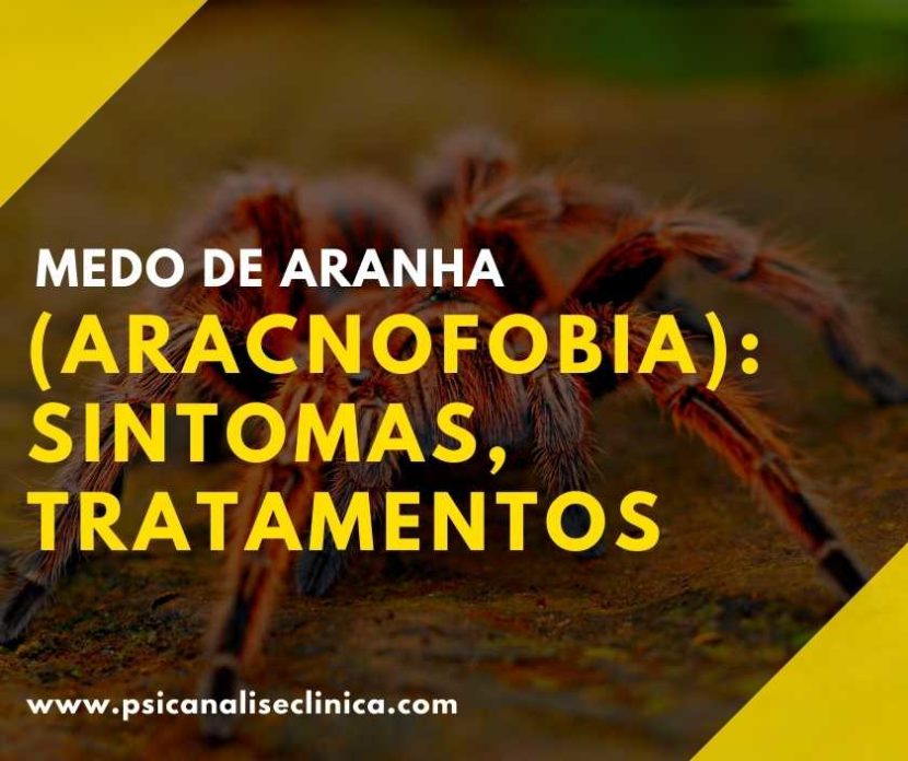 aracnofobia