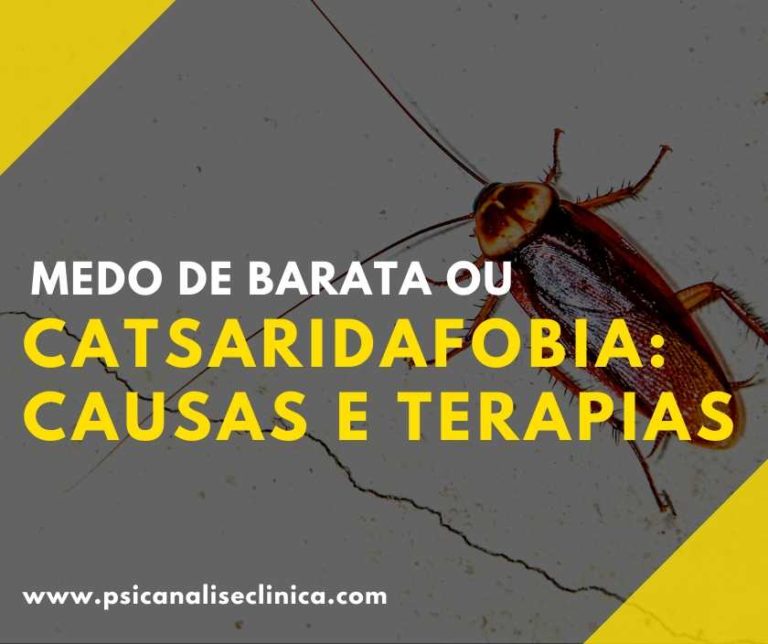 Medo de barata ou catsaridafobia causas e terapias Psicanálise Clínica Medo de barata ou catsaridafobia causas e terapias Psicanálise Clínica