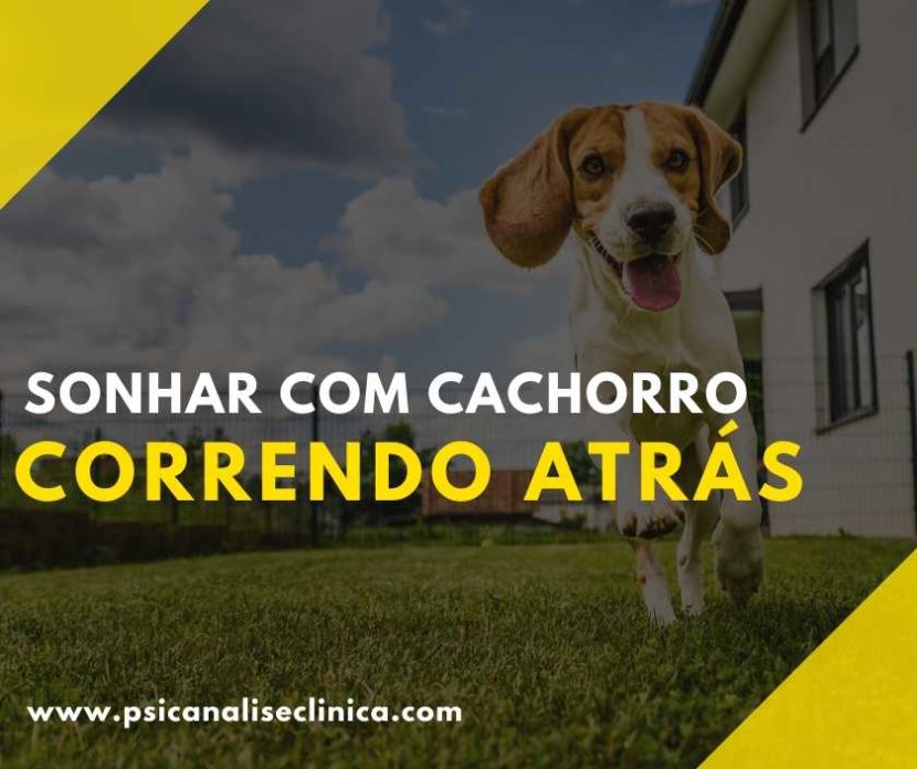 sonhar com cachorro