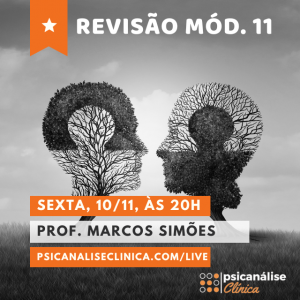 revisão do módulo 11 do curso de psicanálise