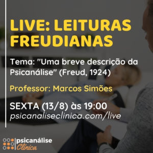 live 13_8 breve descrição da psicanálise