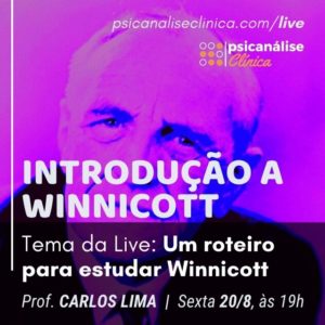primeira live psicanálise introdução a Winnicott
