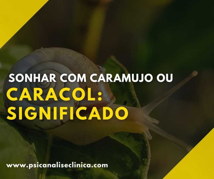 o que significa sonhar com caramujo