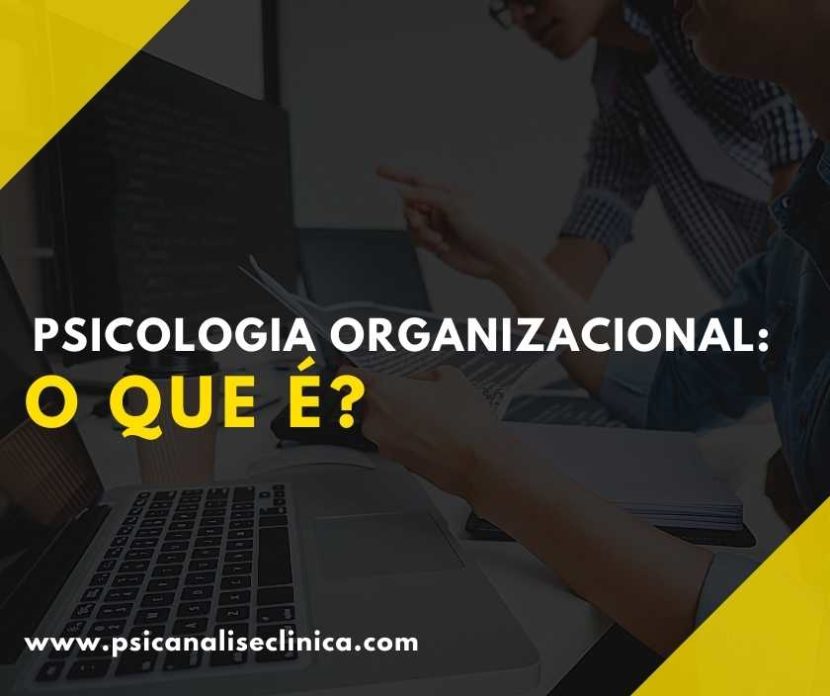 psicólogo organizacional