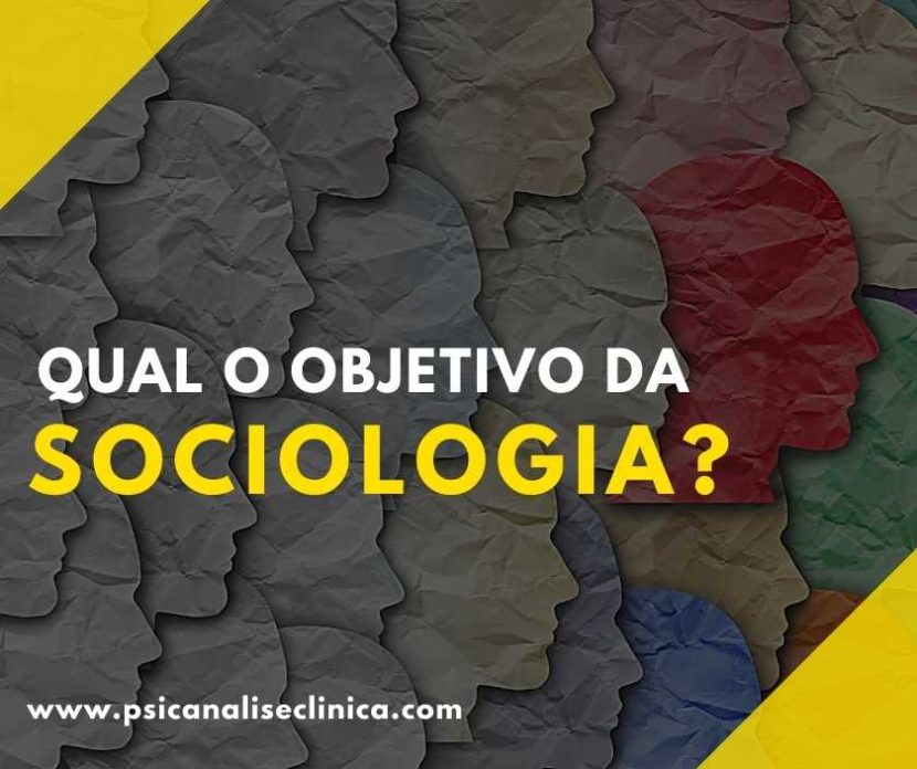 qual o objeto de estudo da sociologia