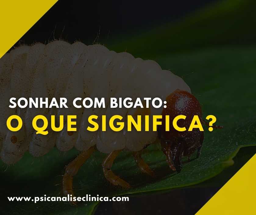 Sonhar com bigato o que significa? Psicanálise Clínica