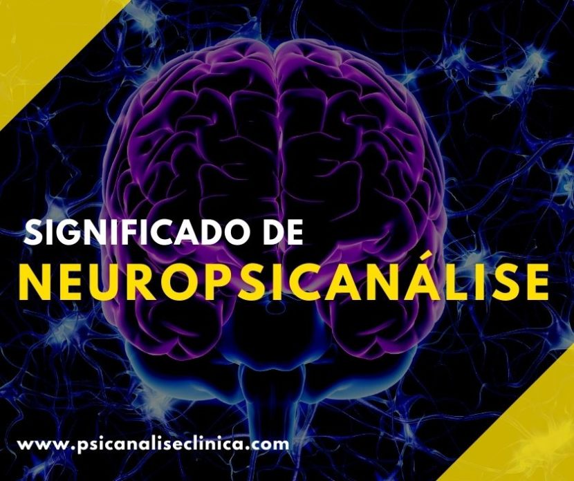 O que é neuropsicanálise