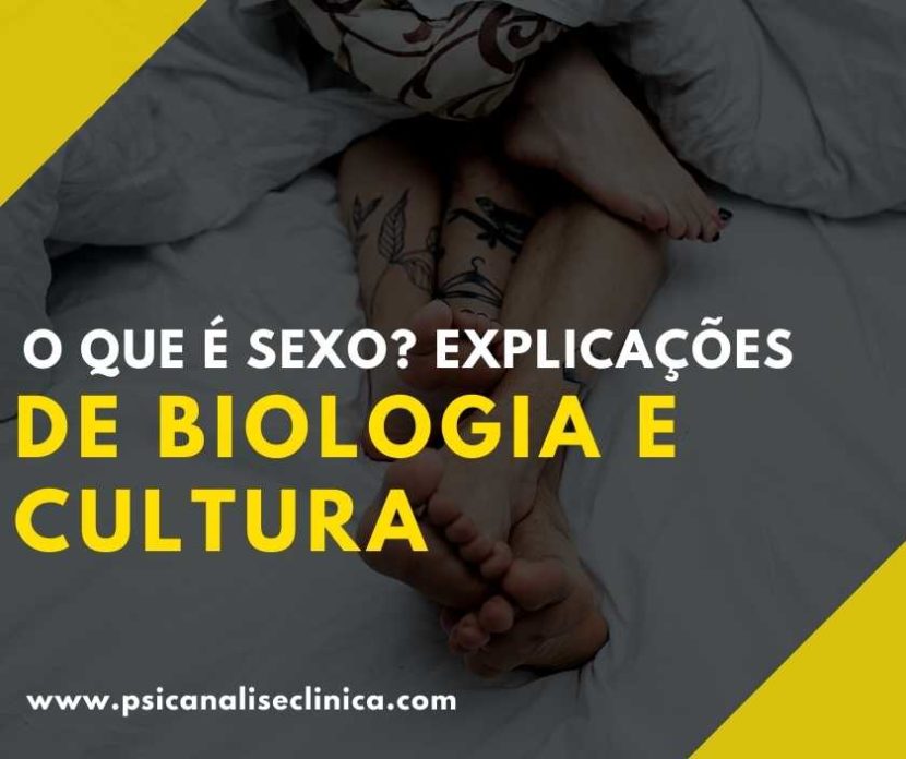 o que é sexo