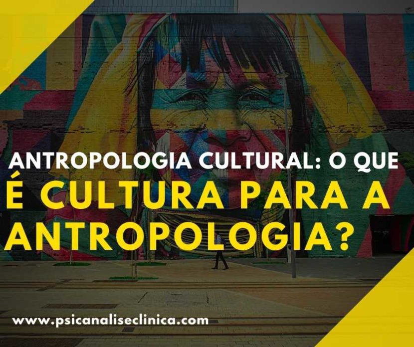 antropologia cultural