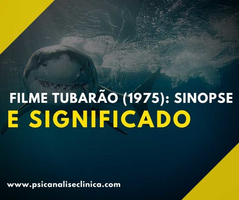 Hoje, falaremos sobre um dos clássicos de maior bilheteria do mundo: o filme Tubarão. Então, confira as questões psicológicas nessa análise.