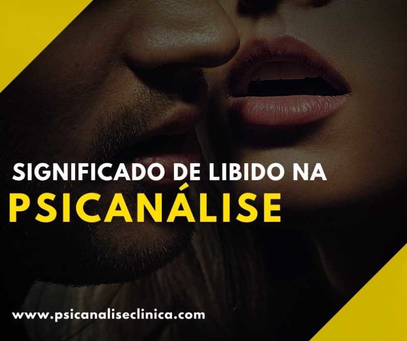 significado de libido