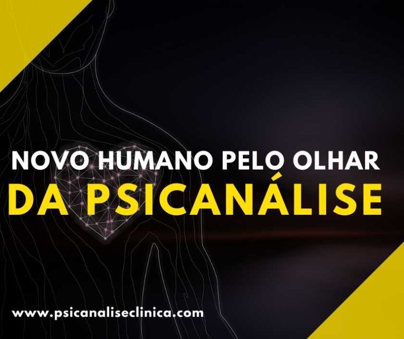 novo humano