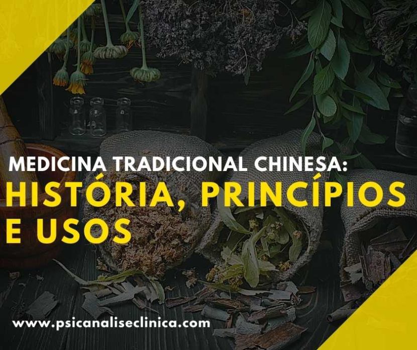 Afinal, você conhece a medicina tradicional chinesa? Por isso, leia o nosso artigo para saber mais sobre este assunto. Não perca essa chance!