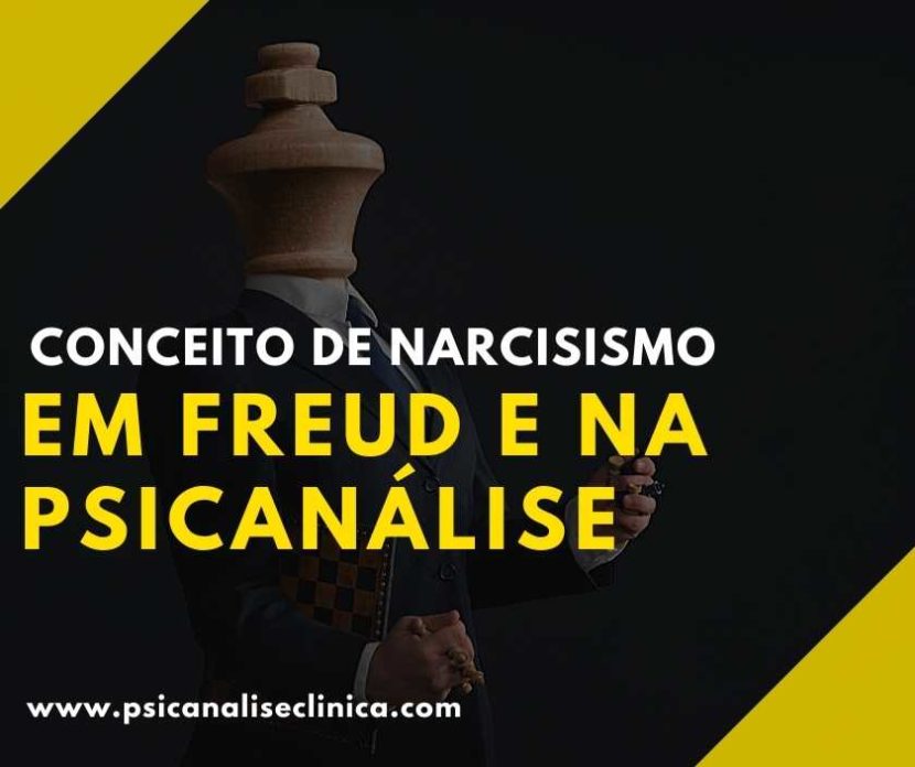 conceito de narcisismo