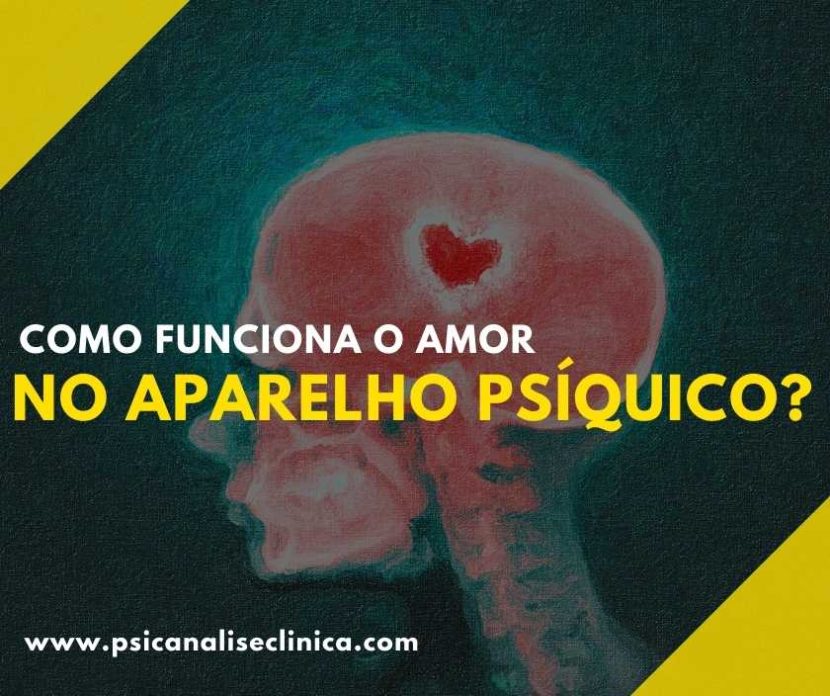 como funciona o amor