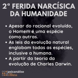 segunda ferida narcísica darwin evolução