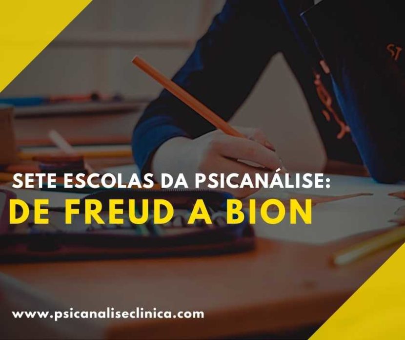 sete escolas da psicanálise