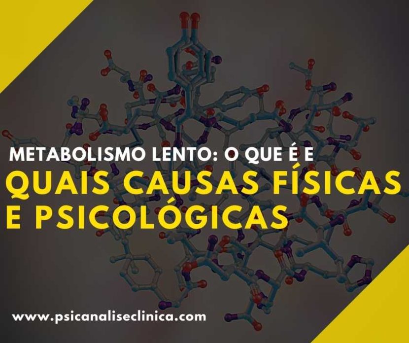 Você sabe o que sigifica ter um metabolismo lento? Então, leia agora o nosso artigo para saber mais sobre esse assunto! Aproveite.