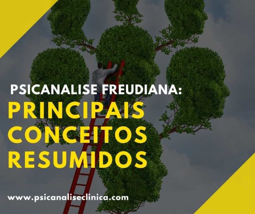 resumo de psicanalise freudiana