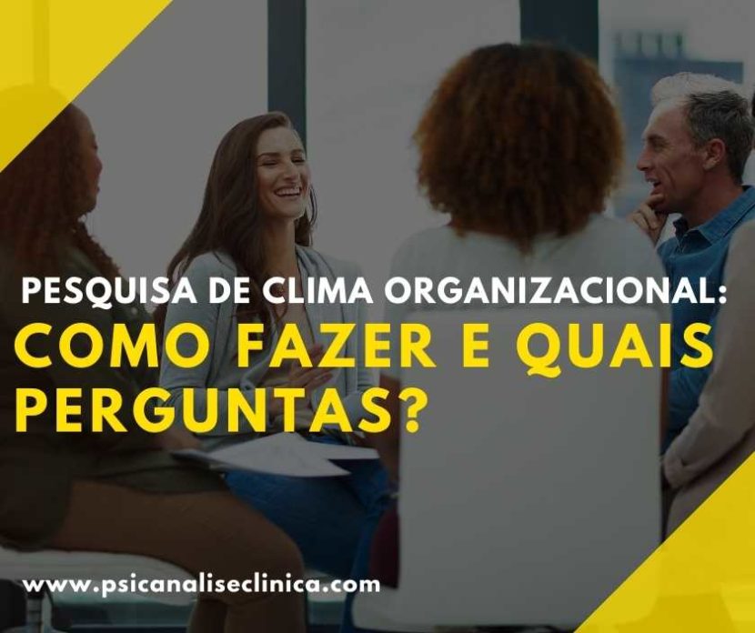 pesquisa na organização