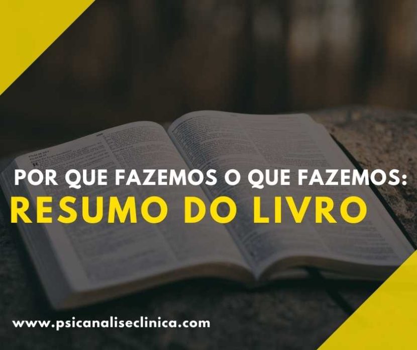 livro por que fazemos o que fazemos